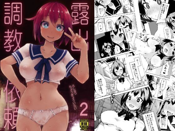 リリスラウダ研究所❤露出調教依頼2 羞恥評価/レビュー4.87