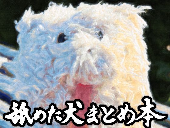 舐めた犬❤舐めた犬まとめ本 ギャグ・コメディ評価/レビュー4.86